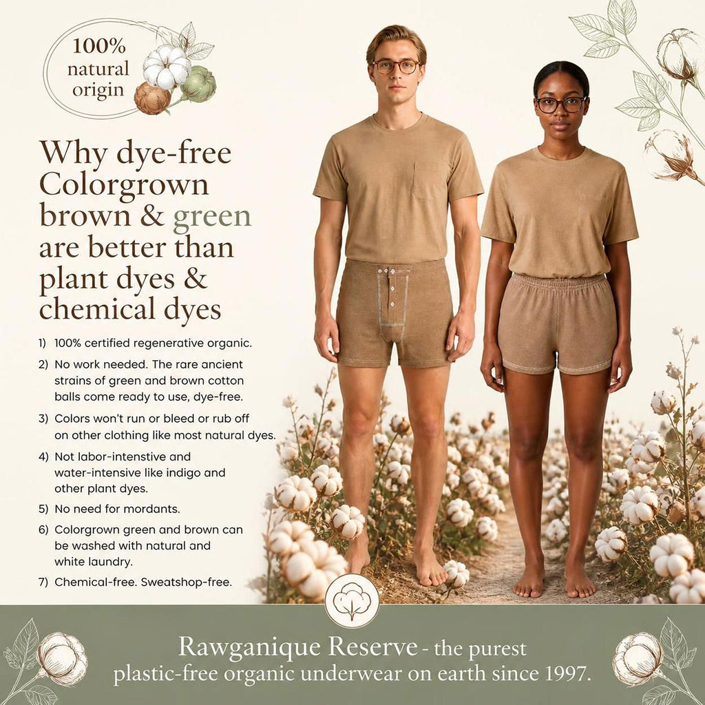 100% certified organic cotton underwear in regenerative brown and green cotton dye-free