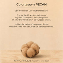 Load image into Gallery viewer, colorgrown organic cotton in brown color