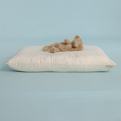 100% organic cotton dog bed