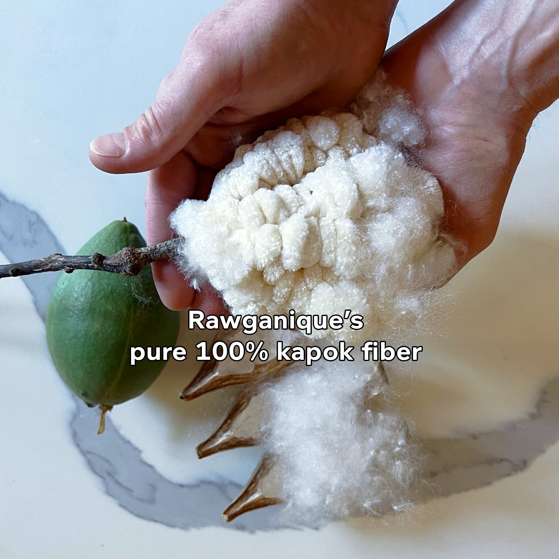 Organic 100% Kapok Fiber For Pillows, Toys, Cushion Stuffing (1-lb