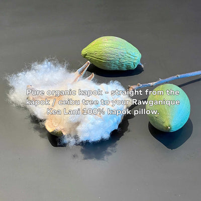 Organic 100% Kapok Fiber For Pillows, Toys, Cushion Stuffing  (One Pound) (100% Biodegradable)