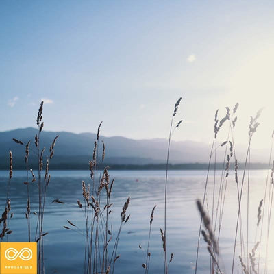 Rawganique Gift Certificate