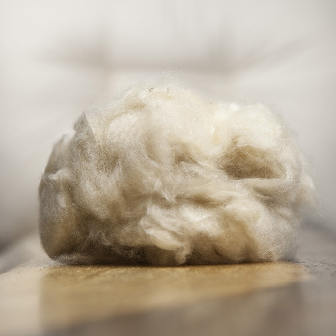 100 Wild Kapok Contour Pillow With Organic Cotton Casing (Zippered