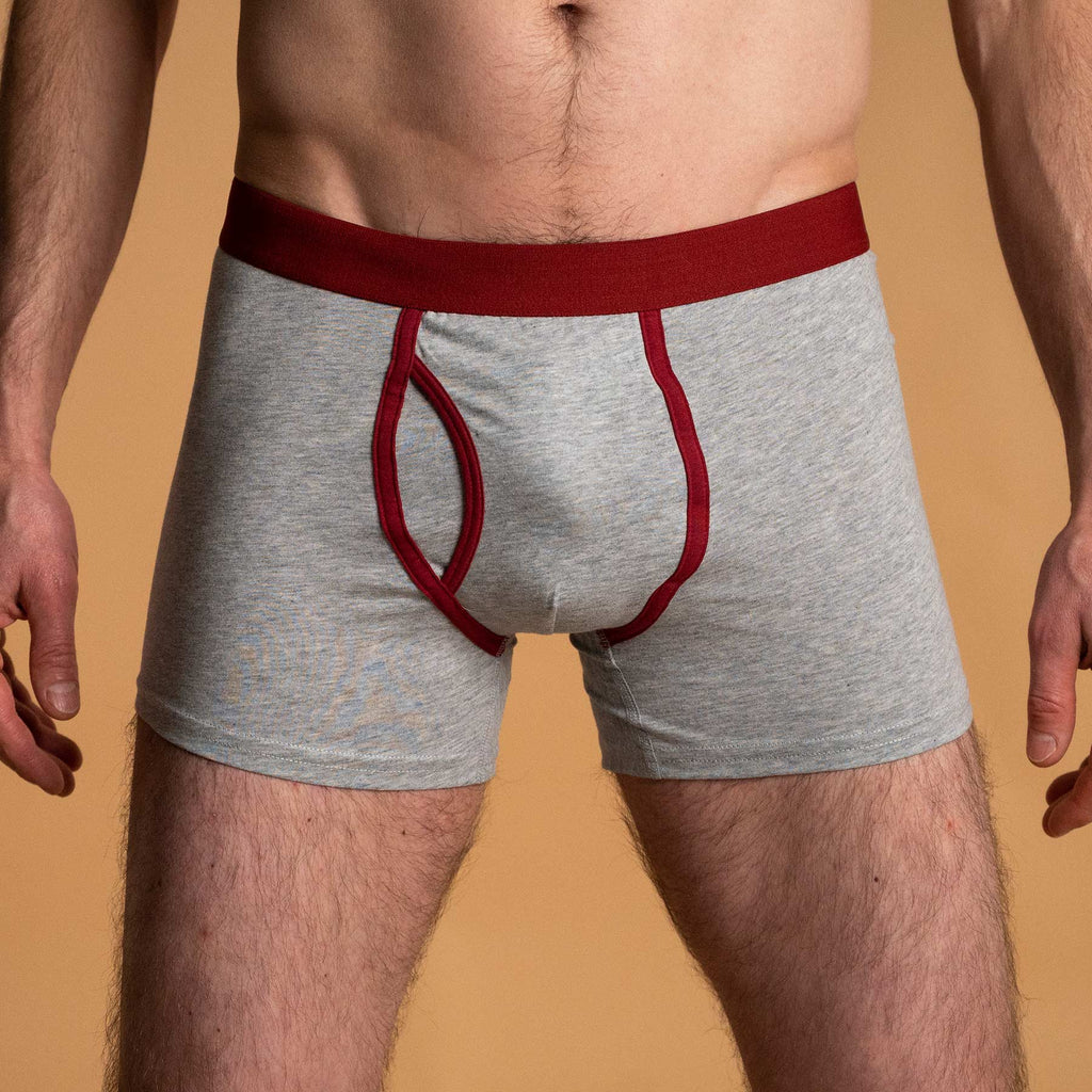 men's organic cotton boxer briefs