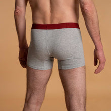 Load image into Gallery viewer, men&#39;s organic cotton athletic briefs