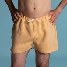 Load image into Gallery viewer, 100% hemp boxers