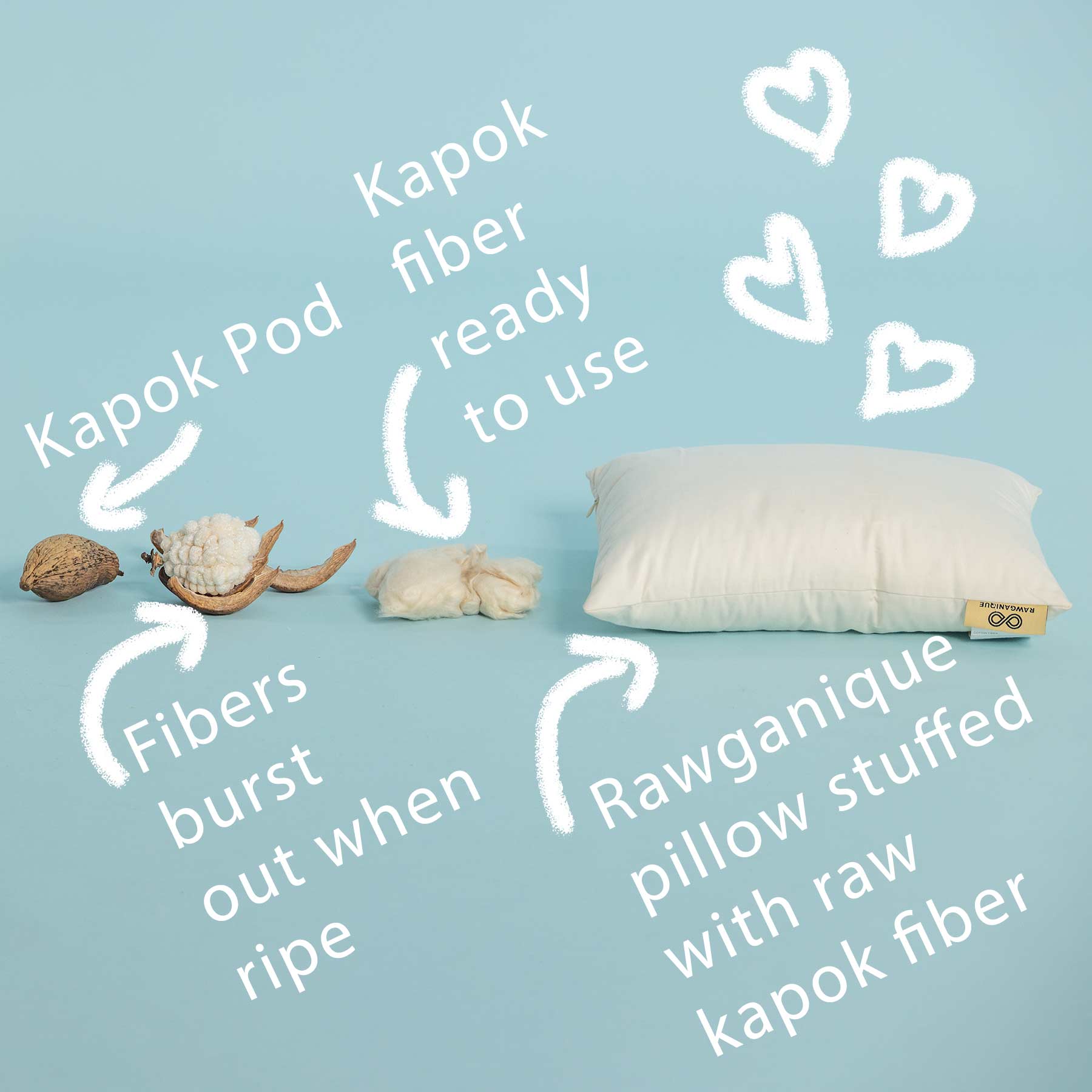 What is a Kapok Pillow? - Get Green Be Well