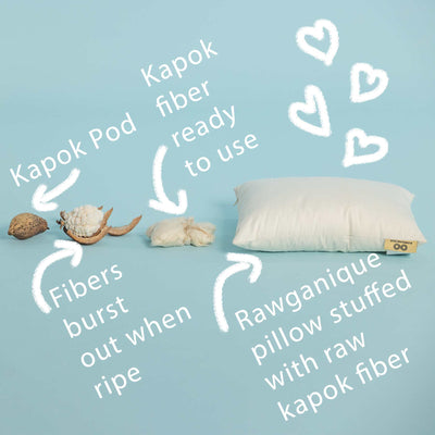 organic kapok pillow