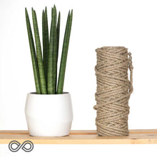 Load image into Gallery viewer, LR6A 6mm Flax Linen Rope (1kg Roll)