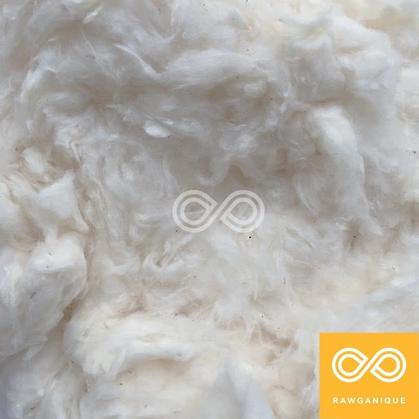 Organic Raw Cotton Stuffing – Walking Lightly
