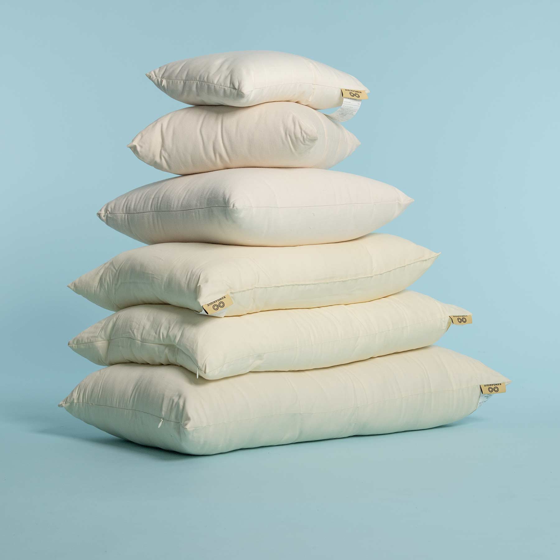 Buy Empty Pillow Shell with No Filling – 100% Cotton Pillow Shell Only, Can  Be Used w/Bulk Down Fill Stuffing for DIY, Making Own Pillows – Standard,  Queen, King Sizes (Standard, 250TC.)