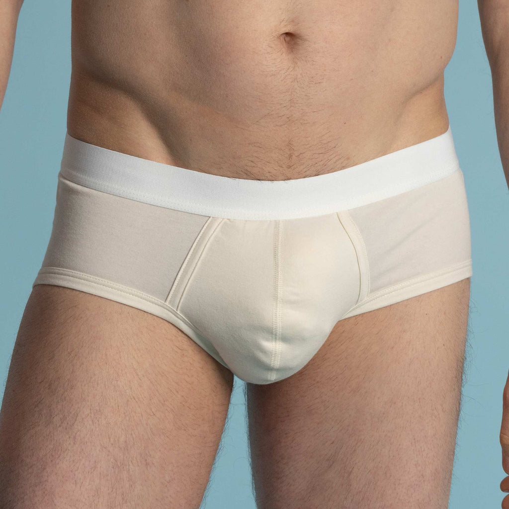 men's organic cotton briefs