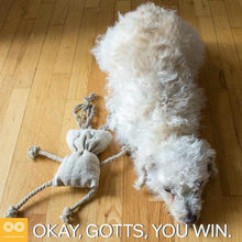 Load image into Gallery viewer, Gotts Handmade Hemp Toy Doll (Organic Cruelty-free Wool Filled)