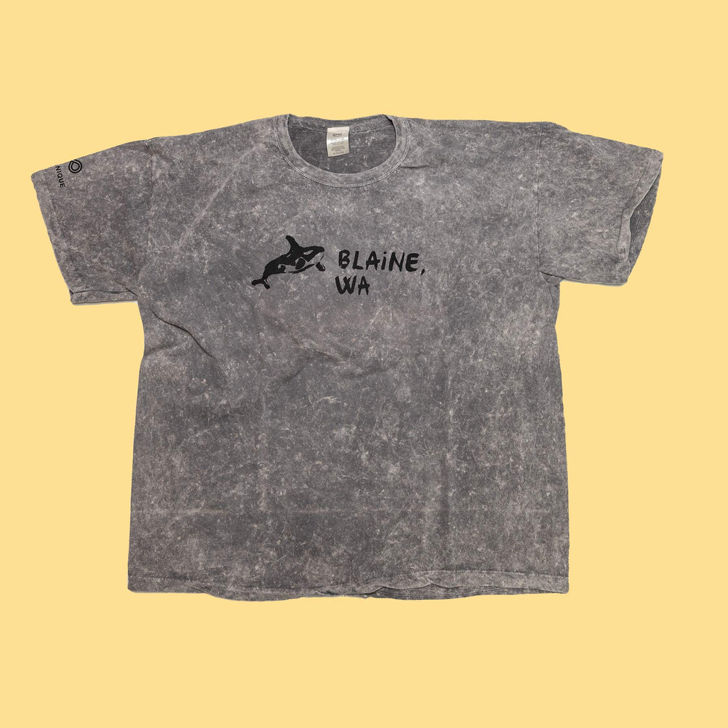 blaine washington t shirt